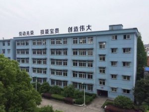 <b>衢江区职业中专2022年录取分数线</b>