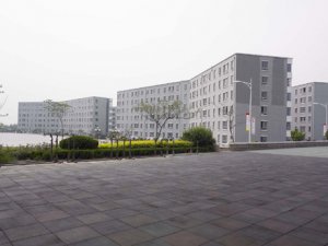 <b>2022年内理科一专学前教育大专学校</b>